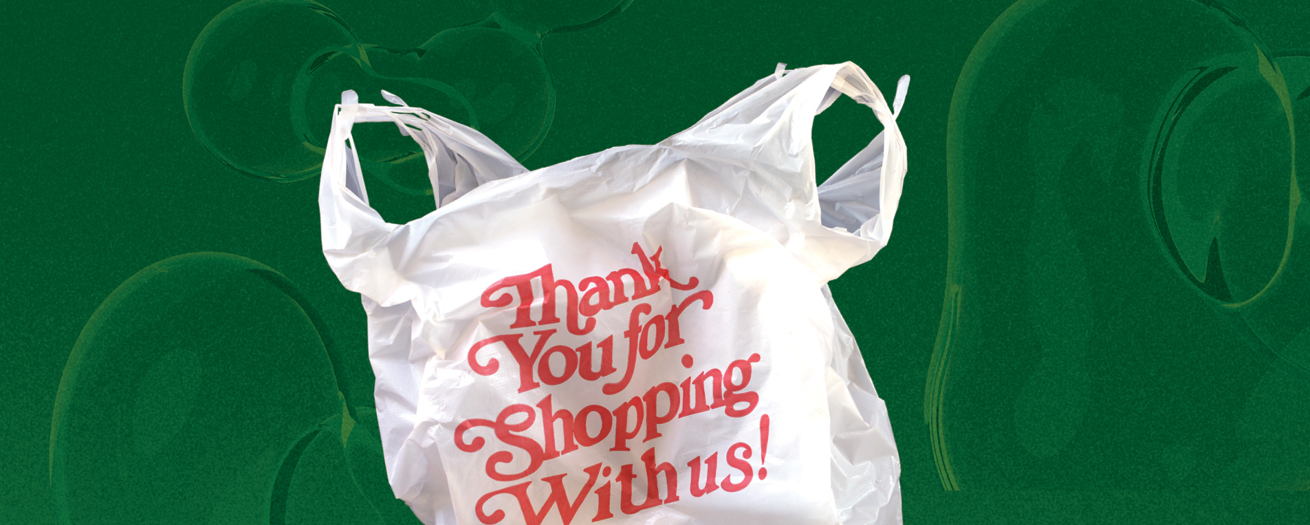 A shopping bag from a discount retailer