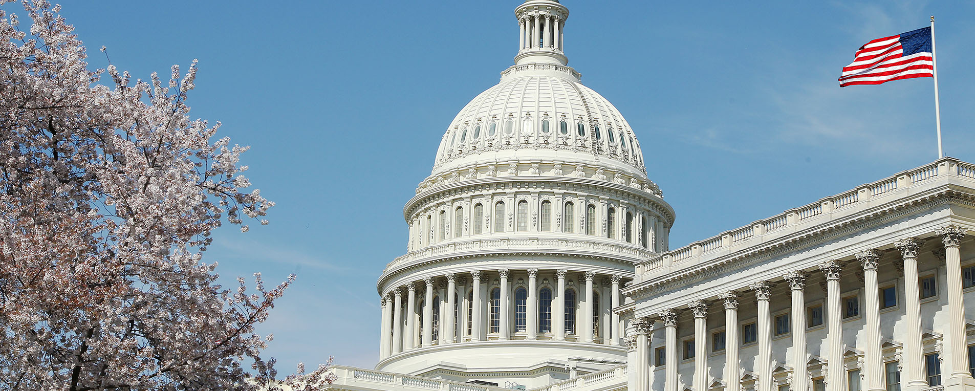 Trump's Election Victory Affects on Long-Term Interest Rates with image of Capitol